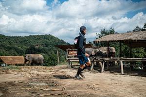 BIB: 
                            <button type="button" onclick="openModal(22423188)" class="btn btn-primary btn-sm float-right btn-popup" data-toggle="modal" data-target=".modal-high-quality">
                        <i class="fas fa-shopping-cart"></i> Add to Cart
                    </button>
                                            <button type="button" onclick="isThisMe(22423188, true)" class="btn btn-success btn-sm float-right btn-popup btn-isme hidden" data-toggle="tooltip" data-placement="bottom" title="นี่คือรูปของคุณใช่ไหม คลิกที่นี่เพื่อเอาเข้าอัลบั้ม">
                        <i class="fas fa-plus"></i> Add to album
                    </button>
                    <button type="button" onclick="isThisMe(22423188, false)" class="btn btn-warning btn-sm float-right btn-popup btn-isnotme hidden">
                        <i class="fas fa-ban"></i> Remove from album
                    </button>